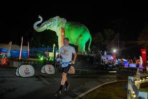 BIB: 
                            <button type="button" onclick="openModal(26552389)" class="btn btn-primary btn-sm float-right btn-popup" data-toggle="modal" data-target=".modal-high-quality">
                        <i class="fas fa-shopping-cart"></i> Add to Cart
                    </button>
                                            <button type="button" onclick="isThisMe(26552389, true)" class="btn btn-success btn-sm float-right btn-popup btn-isme hidden" data-toggle="tooltip" data-placement="bottom" title="นี่คือรูปของคุณใช่ไหม คลิกที่นี่เพื่อเอาเข้าอัลบั้ม">
                        <i class="fas fa-plus"></i> Add to album
                    </button>
                    <button type="button" onclick="isThisMe(26552389, false)" class="btn btn-warning btn-sm float-right btn-popup btn-isnotme hidden">
                        <i class="fas fa-ban"></i> Remove from album
                    </button>